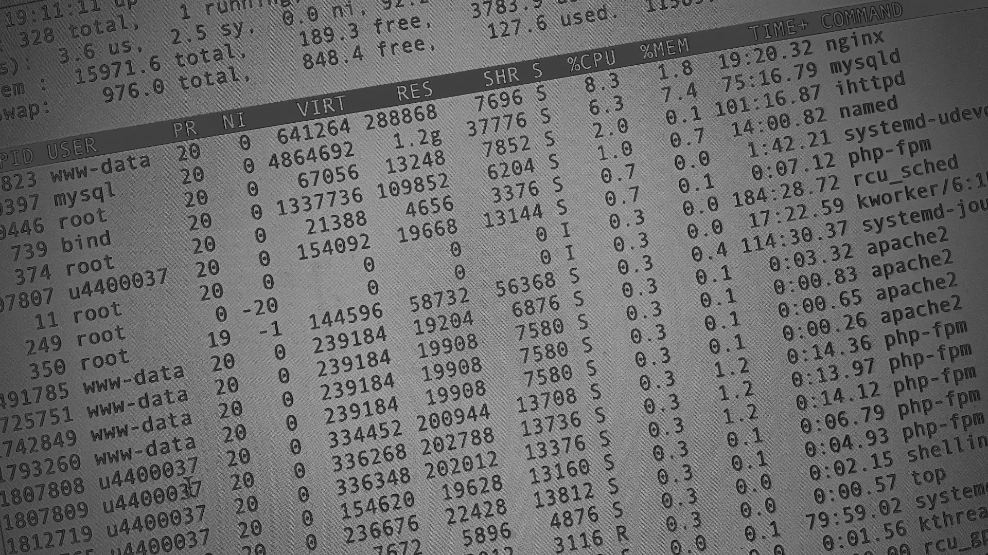 Настройка сервера в Дигоре Настройка сервера в Дигоре