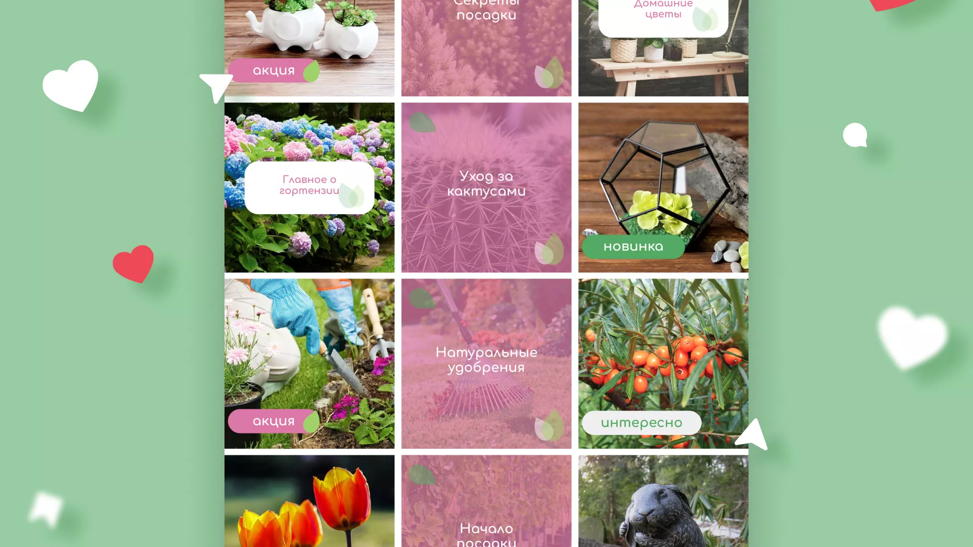 Разработка оформления профиля Instagram для магазина «Floraint» в Дигоре