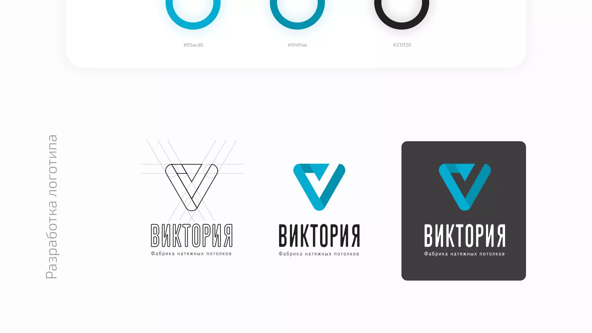 Разработка фирменного стиля компании по продаже и установке натяжных потолков в Дигоре