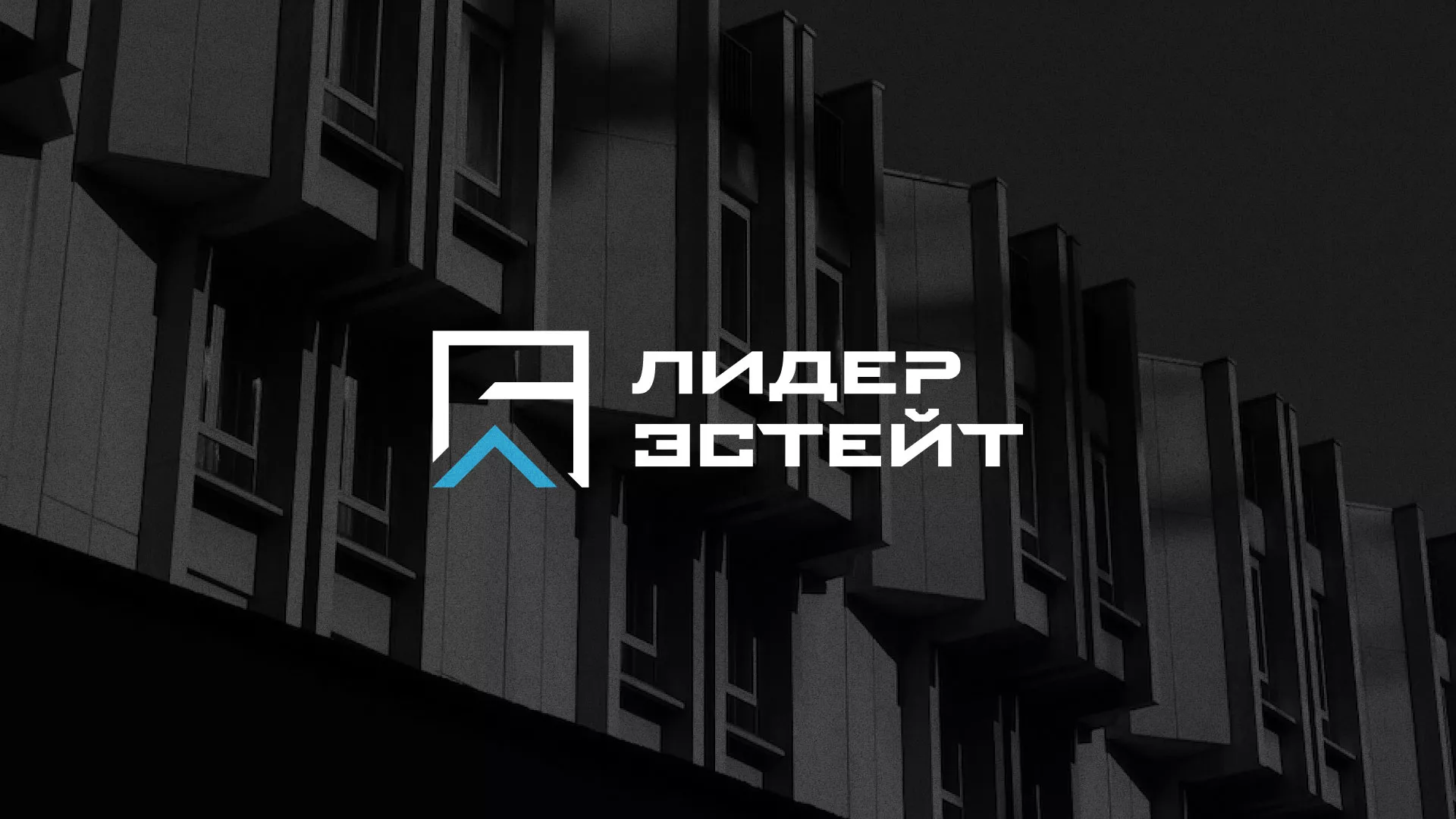 Разработка логотипа агентства недвижимости «Лидер Эстейт» в Дигоре