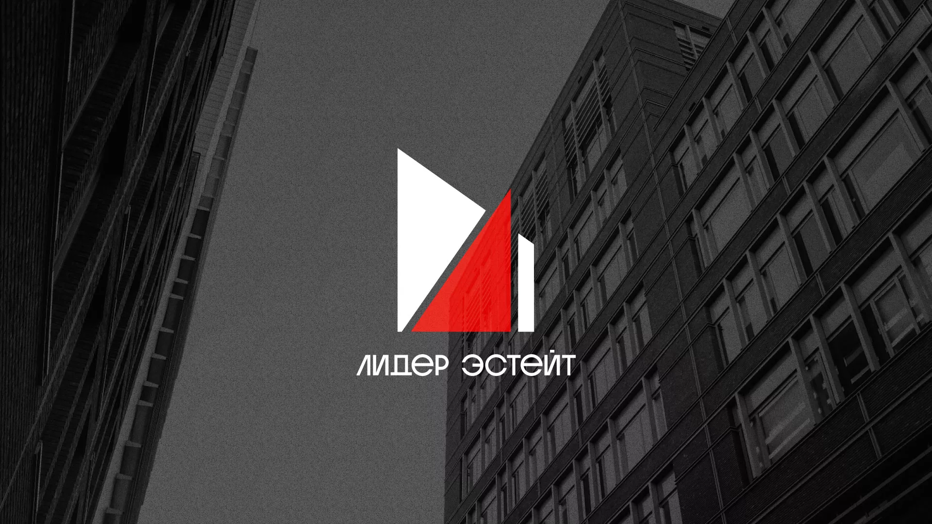 Сделали логотип для агентства недвижимости «Лидер Эстейт» в Дигоре